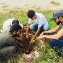 Green Seekers Activity